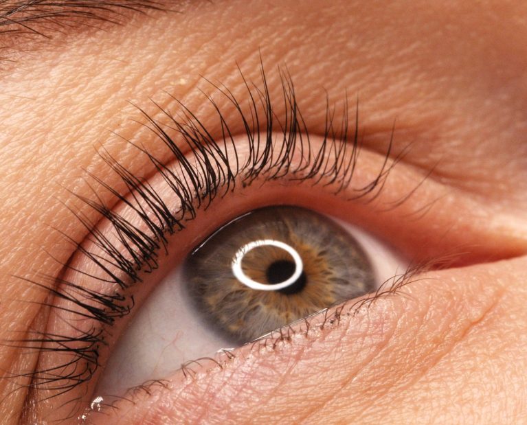 A woman's eye with long black eyelashes after lamination. Closeup opened girl's eye with eyelashes